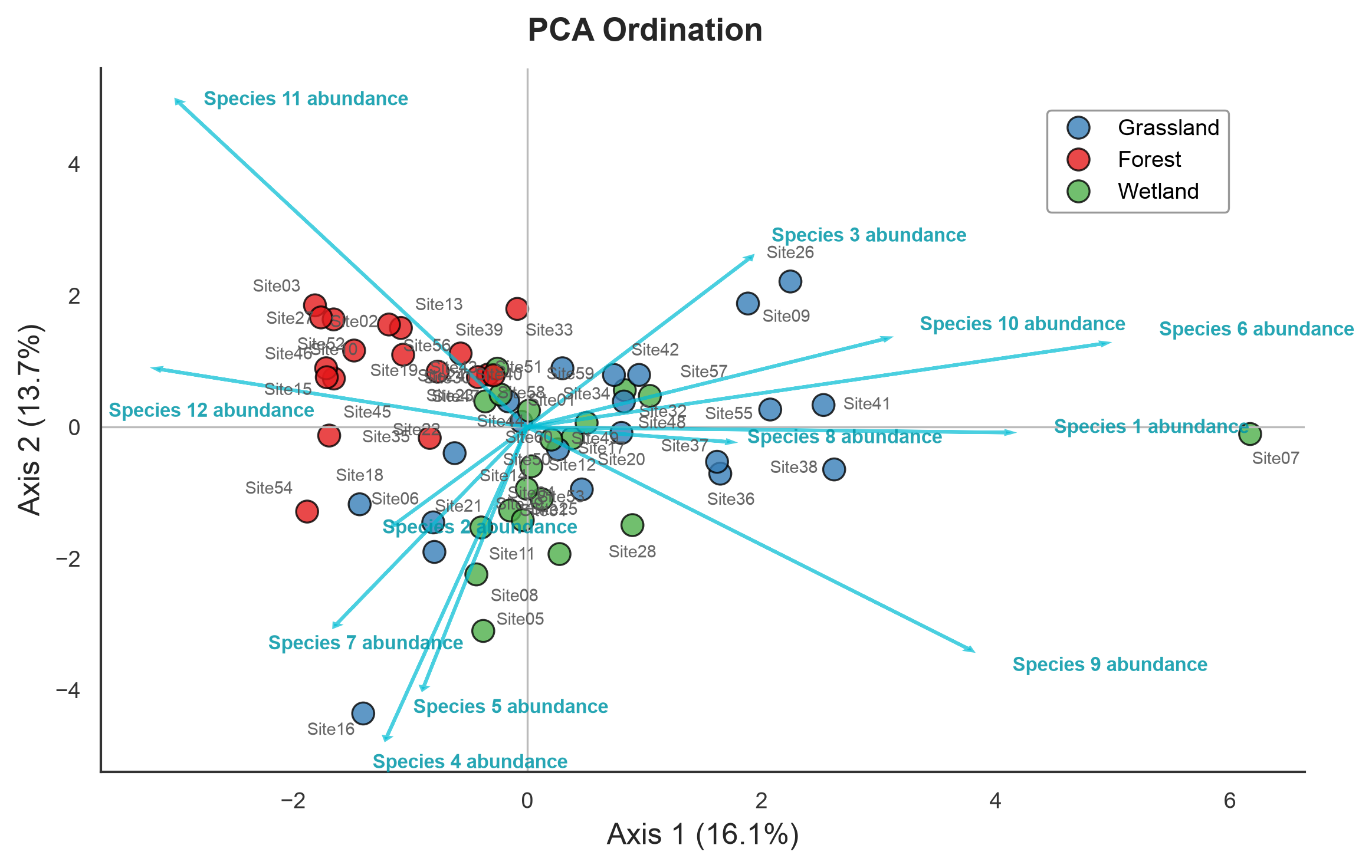 PCA plot